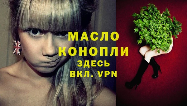 дживик Билибино