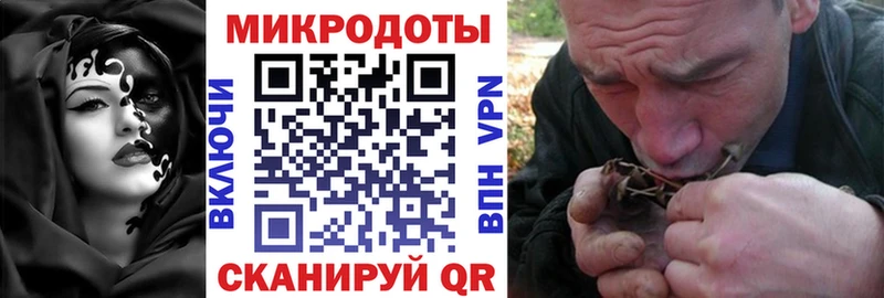Псилоцибиновые грибы Cubensis Лакинск